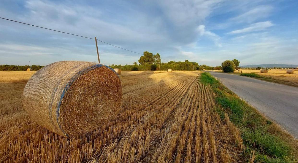 Il Cantuccio Cascina Luaran gambar